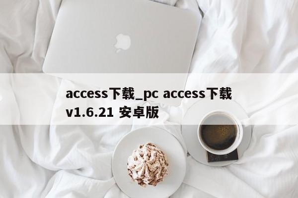 access下载_pc access下载v1.6.21 安卓版